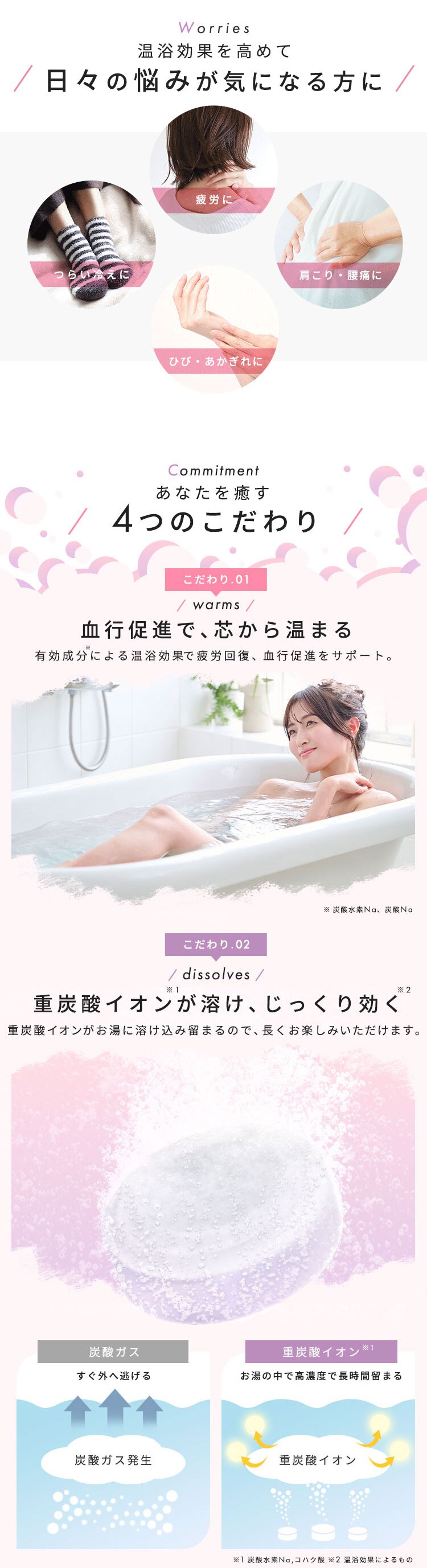 重炭酸入浴剤 モイスクル MCBT-20P 20回分2