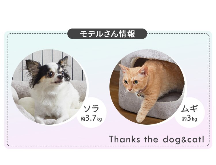 シャギークッションペットベッド PSCB-500 アイボリー10