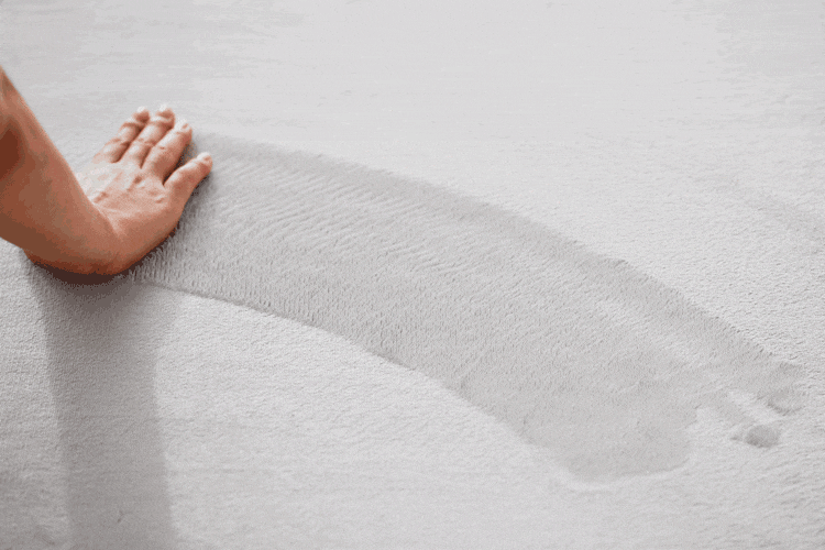 ラグ ラ・クッションラグ マイクロムートンタイプ 185cm&times;240cm 3畳 超極厚5cm オリーブ ACRMG-18245