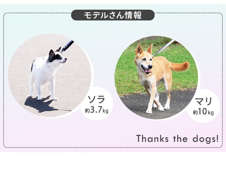 犬用 RM長さ調整リード RFM-NLC32 ダークグレー  散歩 犬 リード5