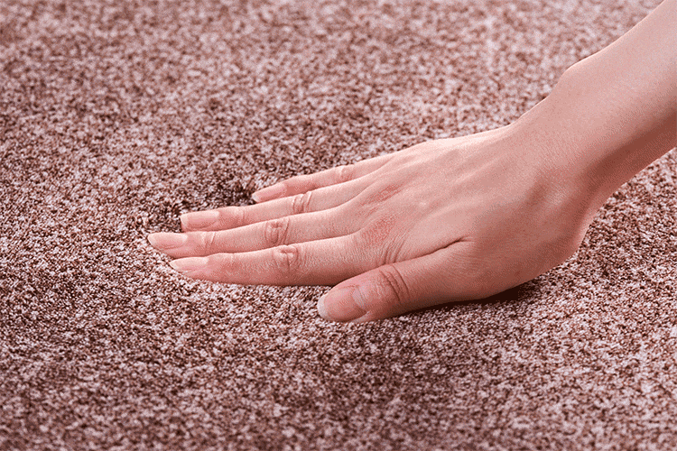 ラグ ラ・クッションラグ 185cm&times;185cm 2畳 厚さ3cm ベージュ ACRB-18182