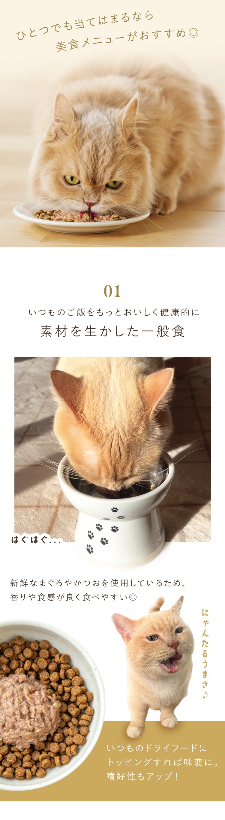 【36パック】美食メニュー まぐろ・かつお しらす入り 60g&times;3P P-60S&times;3P1