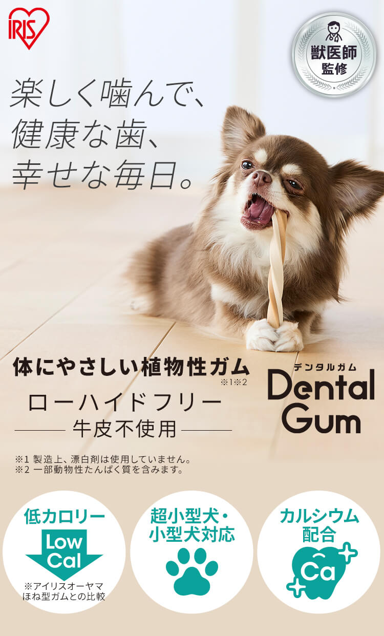 【訳アリ】【4袋セット】獣医師監修 骨型デンタルガム 10本 DGH-10 犬 デンタルケア ガム0