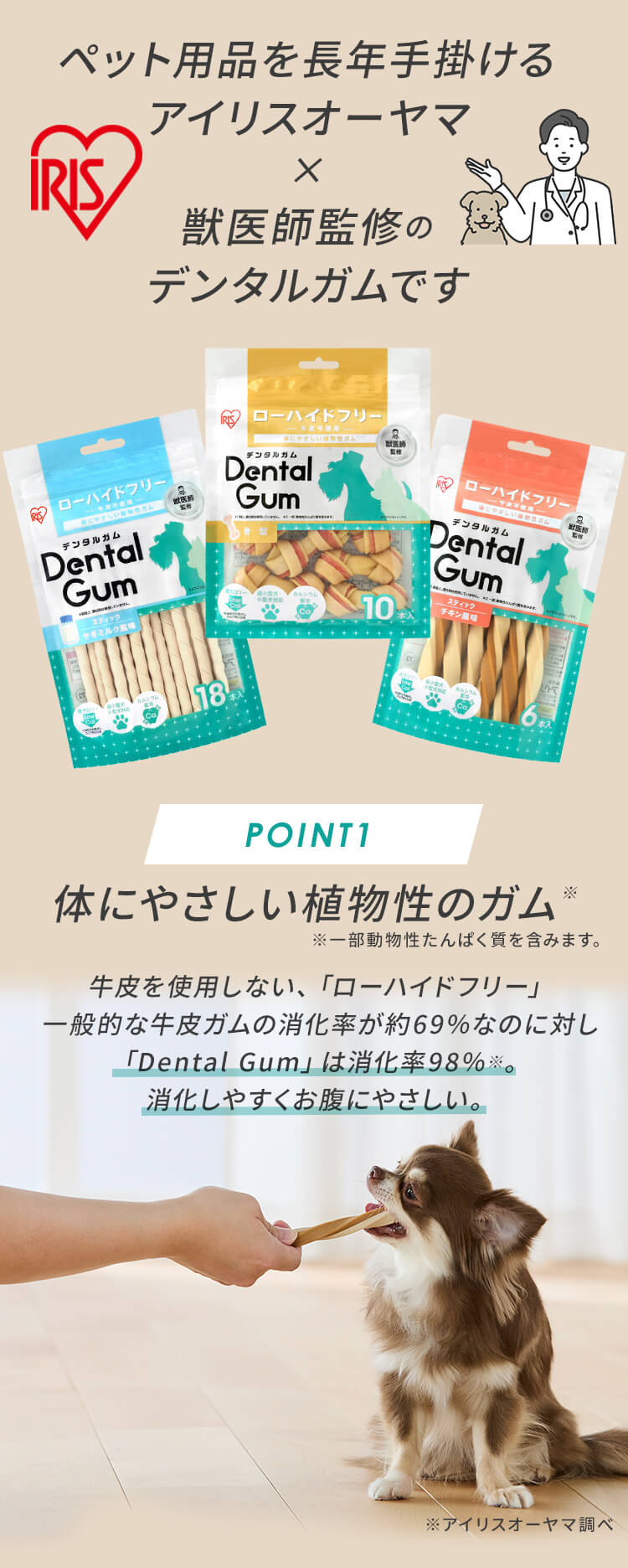 【訳アリ】【4袋セット】獣医師監修 骨型デンタルガム 10本 DGH-10 犬 デンタルケア ガム1