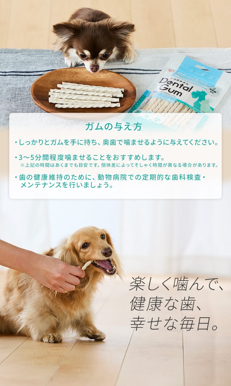 【訳アリ】【4袋セット】獣医師監修 骨型デンタルガム 10本 DGH-10 犬 デンタルケア ガム5