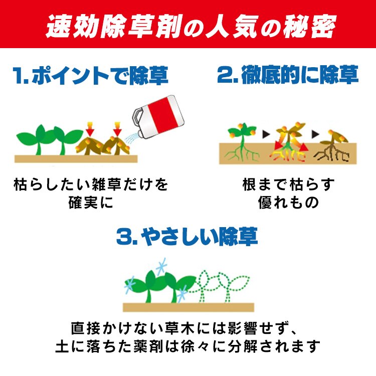 【8個セット】速効除草剤4L WSJ-4L 3