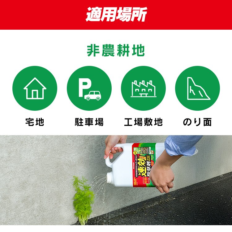 【8個セット】速効除草剤4L WSJ-4L 4