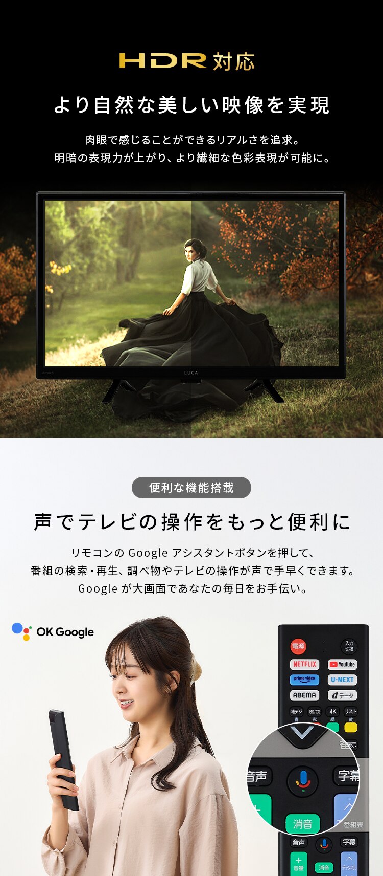 LUCA 液晶テレビ GoogleTV搭載 24V型 LT-24WGX-F1 ブラック4