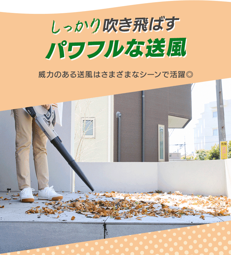 ブロワ JB54010TC サンドベージュ1