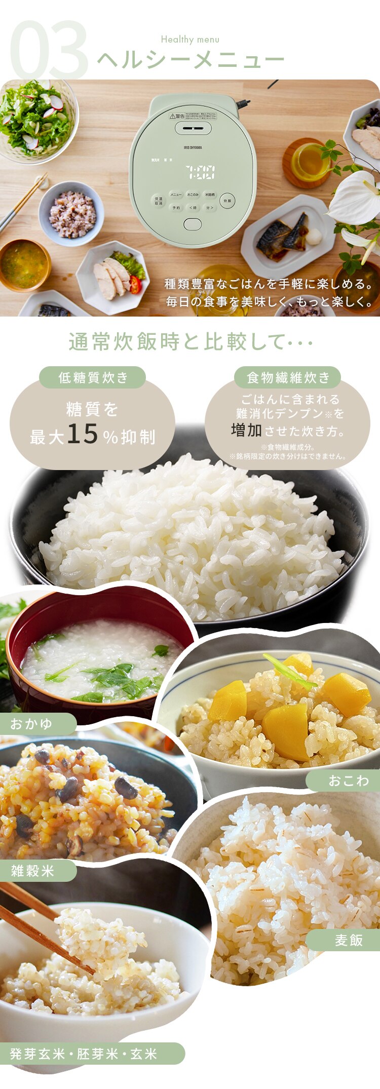 炊飯器 3合 マイコン式 RC-MGA30 RC-MGB304