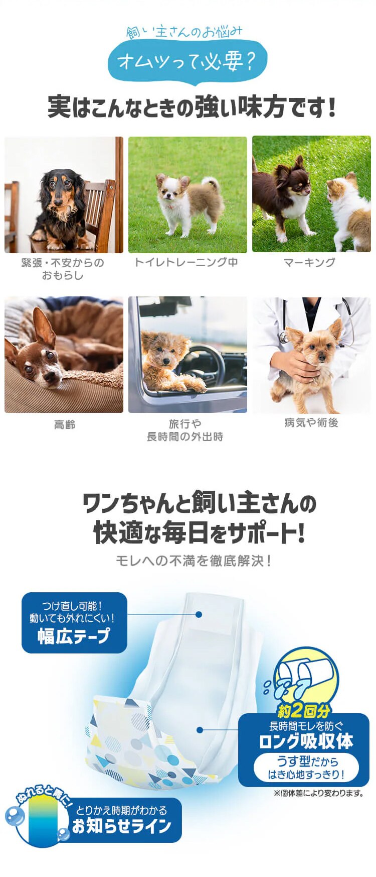 【男の子用】犬 おむつ ピタフィット M 65枚入  MNPD-M65  犬 おむつ3