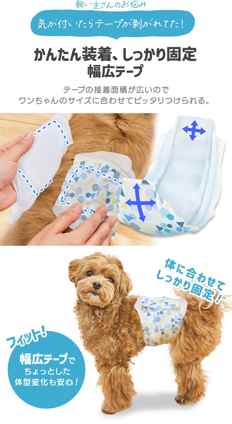 【男の子用】犬 おむつ ピタフィット M 65枚入  MNPD-M65  犬 おむつ4
