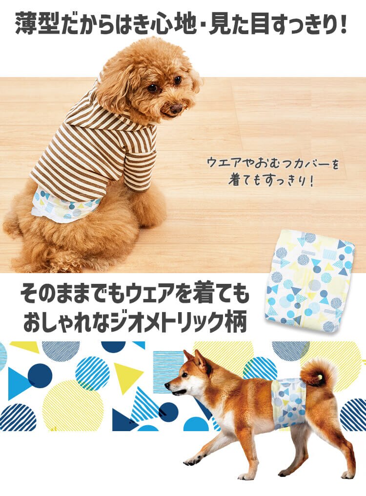 【男の子用】犬 おむつ ピタフィット M 65枚入  MNPD-M65  犬 おむつ9