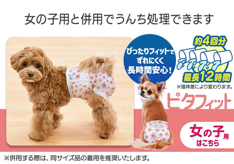 【男の子用】犬 おむつ ピタフィット M 65枚入 MNPD-M65 犬 おむつ12