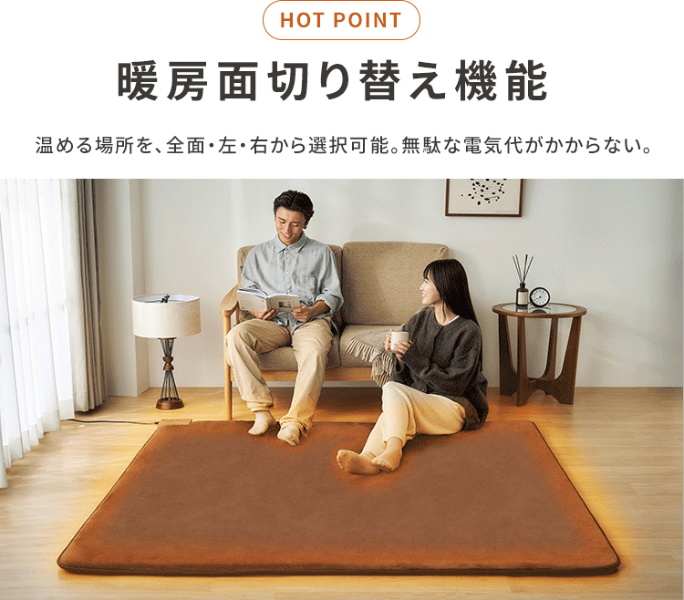 ラ・クッションホットカーペット PHC-CR20A-T ブラウン4