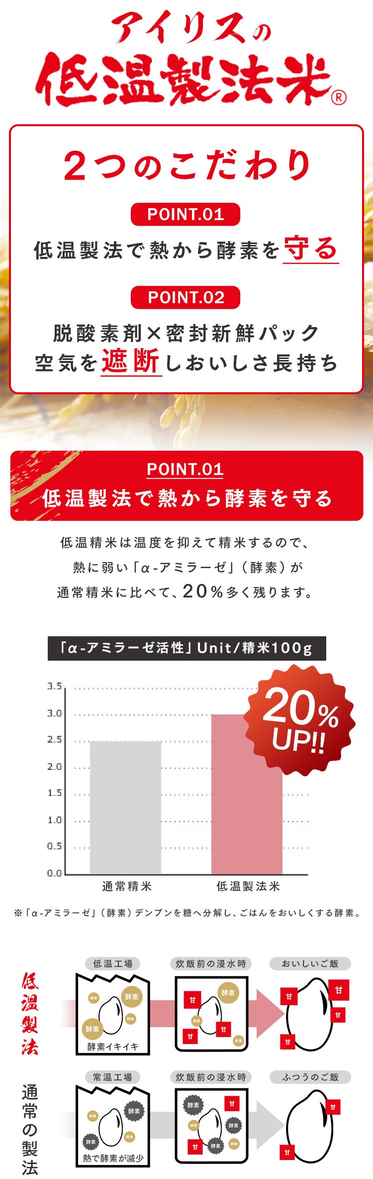 【10kg】令和7年産 和の輝き 国産こしひかり 5kg&times;2袋1