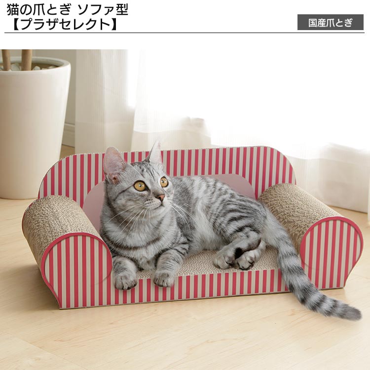 【スターター 5点セット】ペットケージ 3段 PEC-903 ホワイト 猫用5