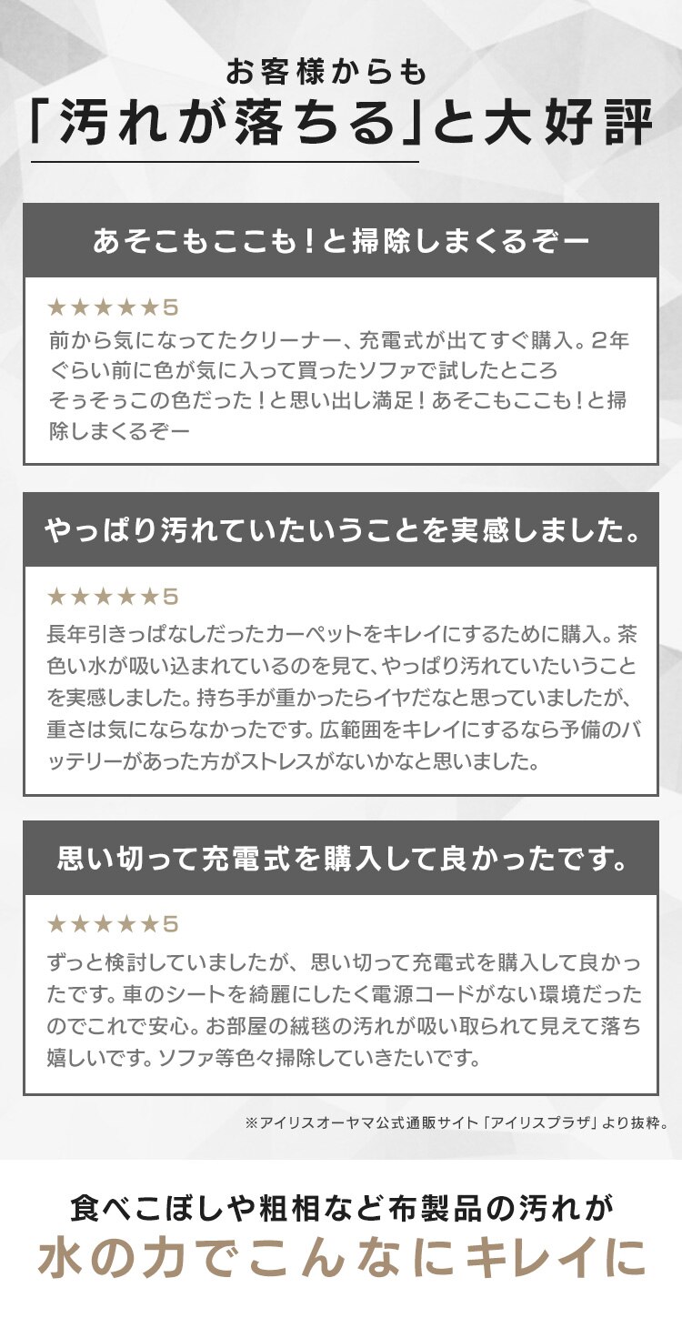 リンサークリーナー コードレス 温水洗浄 RNS-B400D アイボリー17