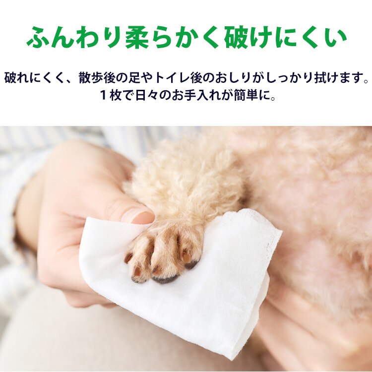 【1920枚】＼なめても安心／ノンアルコール 無香料 ペット用ウェットティッシュ８Ｐ&times;3セット1