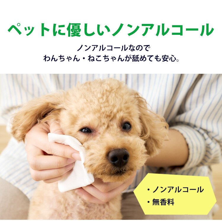 【1920枚】＼なめても安心／ノンアルコール 無香料 ペット用ウェットティッシュ８Ｐ&times;3セット2