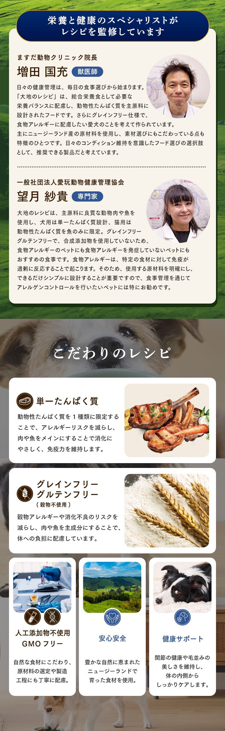 大地のレシピ 成犬用 DRD-S1K サーモン1kg1