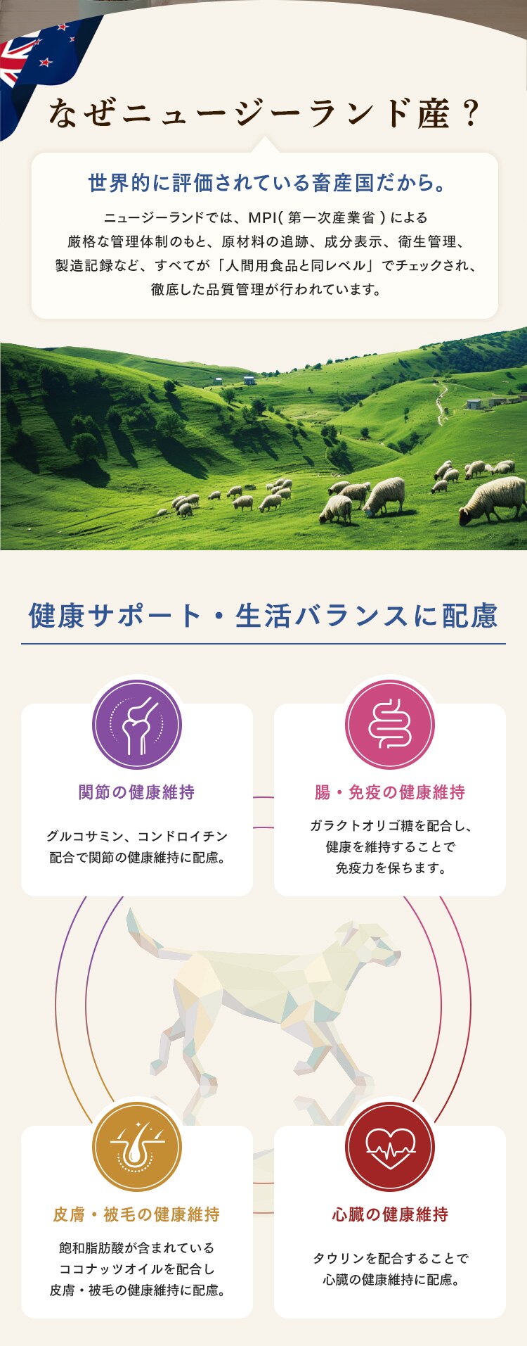 大地のレシピ 成犬用 DRD-S1K サーモン1kg2