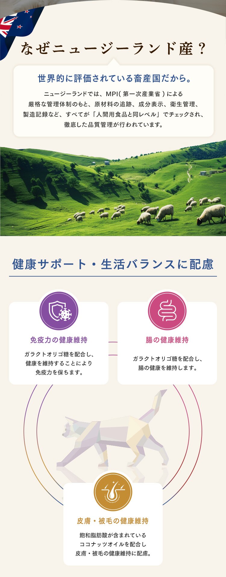 大地のレシピ 成猫用 DRCｰM1K サバ＆ホキ1kg2