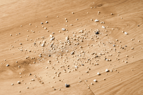 【紙パックセット】充電式紙パックスティッククリーナー 紙パック5年分付き SBD-78P-W ホワイト【前払い不可】【代引き不可】【同梱不可】4