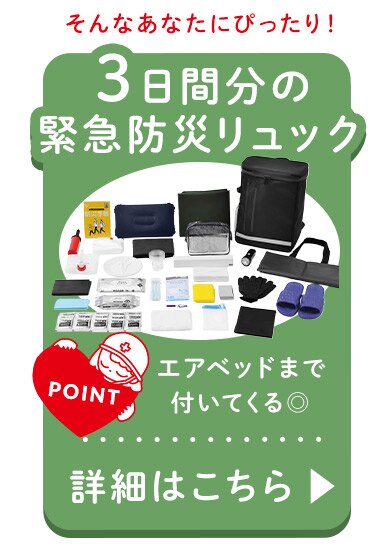 ★テレビ放映されました★防災リュック３日間避難２人用 BMT-2 ブラック 【前払い不可】【代引き不可】【同梱不可】11