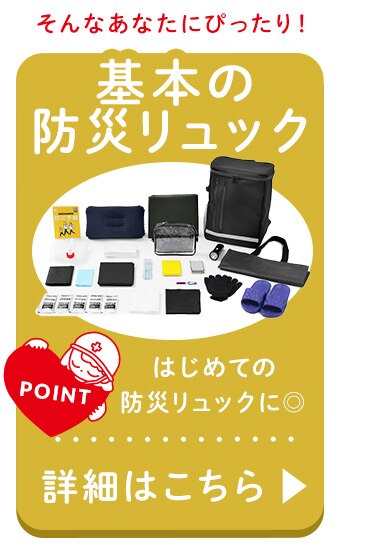★テレビ放映されました★防災リュック３日間避難２人用 BMT-2 ブラック 【前払い不可】【代引き不可】【同梱不可】12