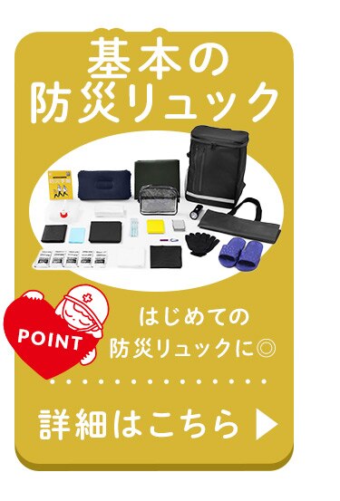 ★新商品★防災 断水対策セット DSS-3 ブラック【前払い不可】【代引き不可】【同梱不可】12