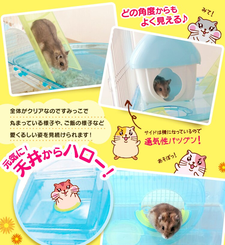 �N���A�ł݂₷���ʋC���o�c�O��