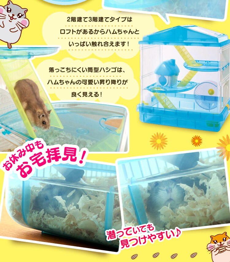 �����b���₷���傫�ȓV��