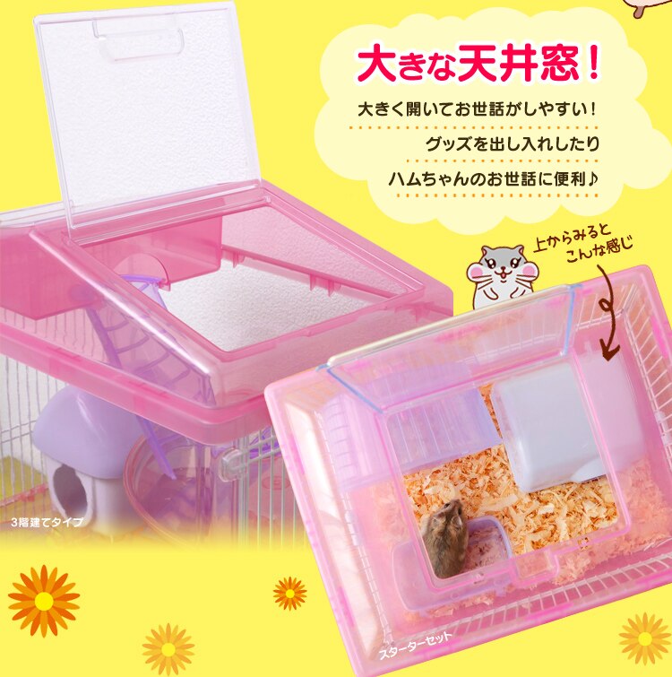 ���t�g�E�K�i�t���ł����ς��V�ׂ�