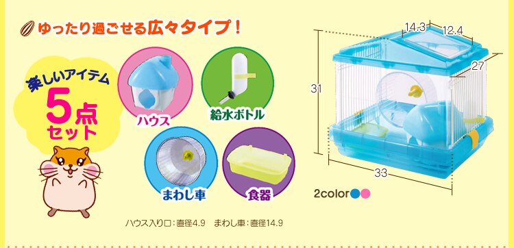 �L�X�^�C�v