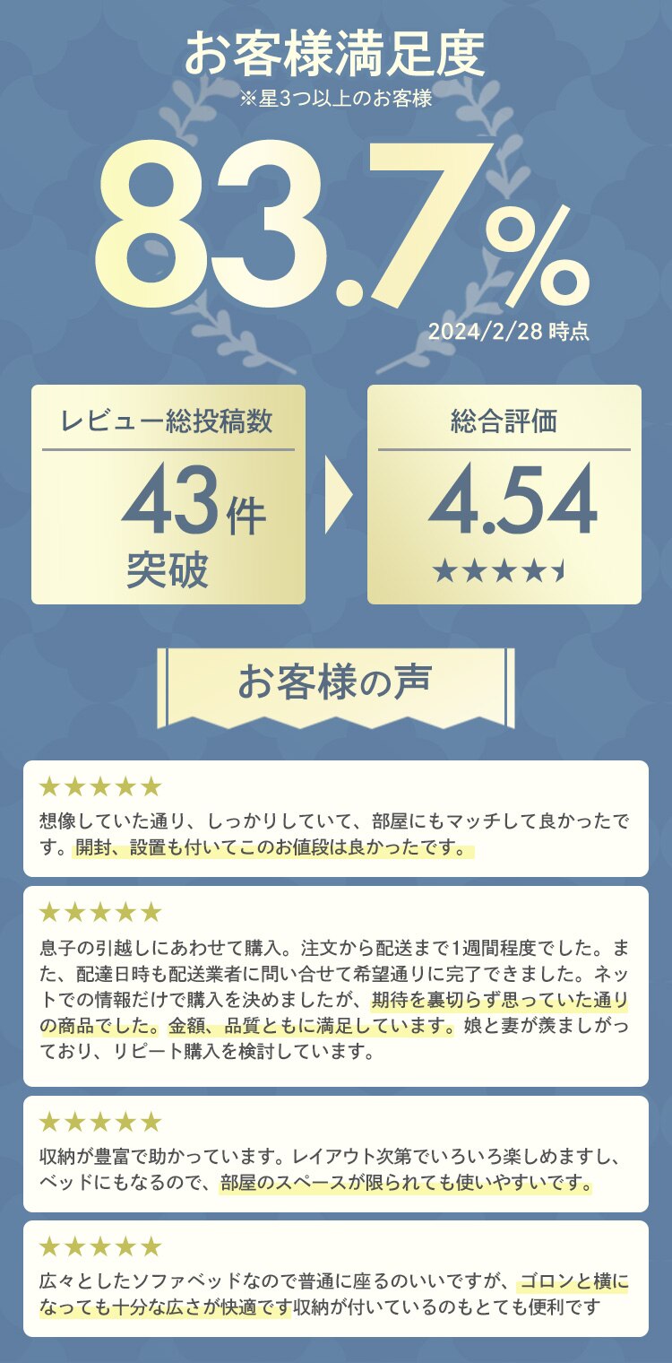 ソファ 2人掛け 収納付き STSB-2110 ブラウン  【代引き不可】1