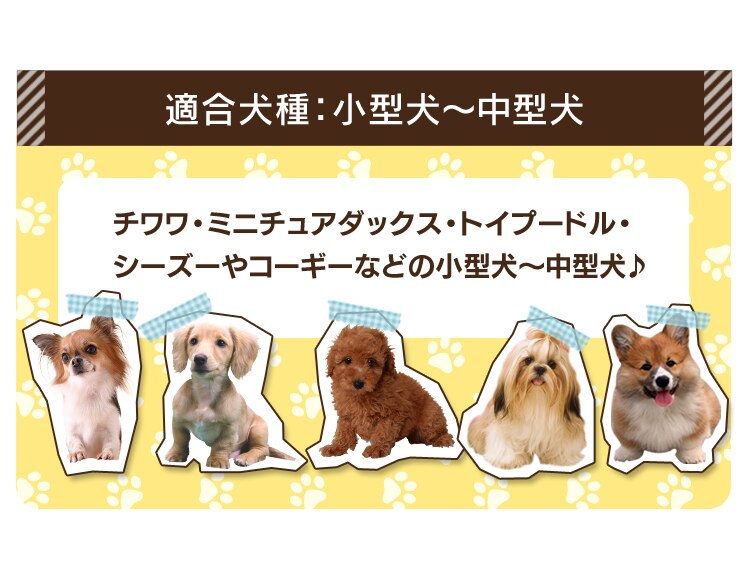 適合犬種：小型犬～中型犬