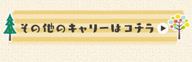 その他のキャリーはコチラ