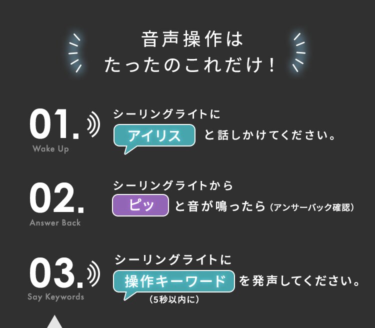【2個セット】 LED シーリングライト 12畳 調光 調色 音声操作 工具・工事不要 リモコン付き 5年保証 CL12DL-5.11KCFV9