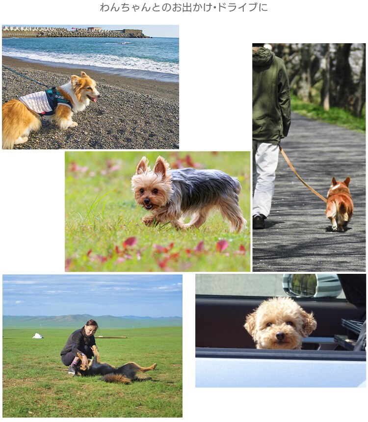 折りたたみケージ OKE-600R アイアンブラックカラー5