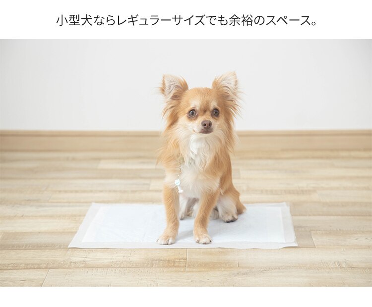 【352枚】 厚型 超吸収ペットシーツ レギュラー 88枚&times;4袋 犬 トイレ20