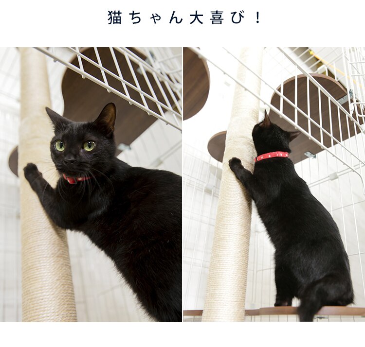 キャットランドケージ用 つめとぎポール PCLC-P5303