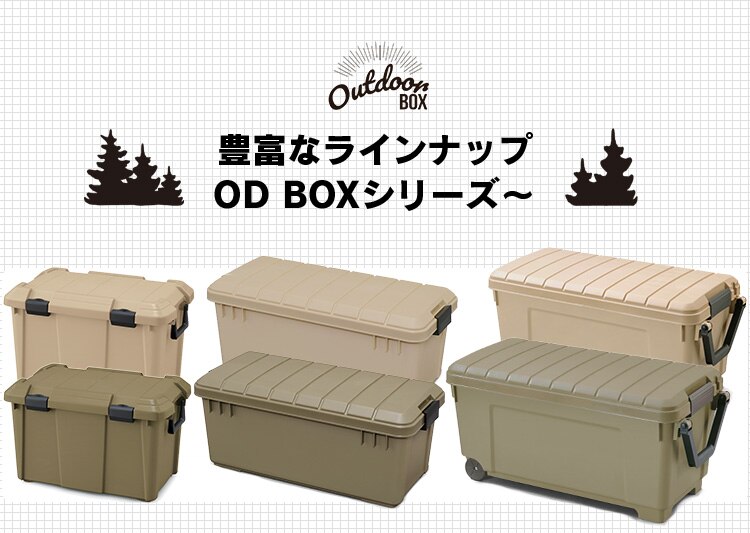  収納ボックス かご ODバスケット BT-OD37 ベージュ8