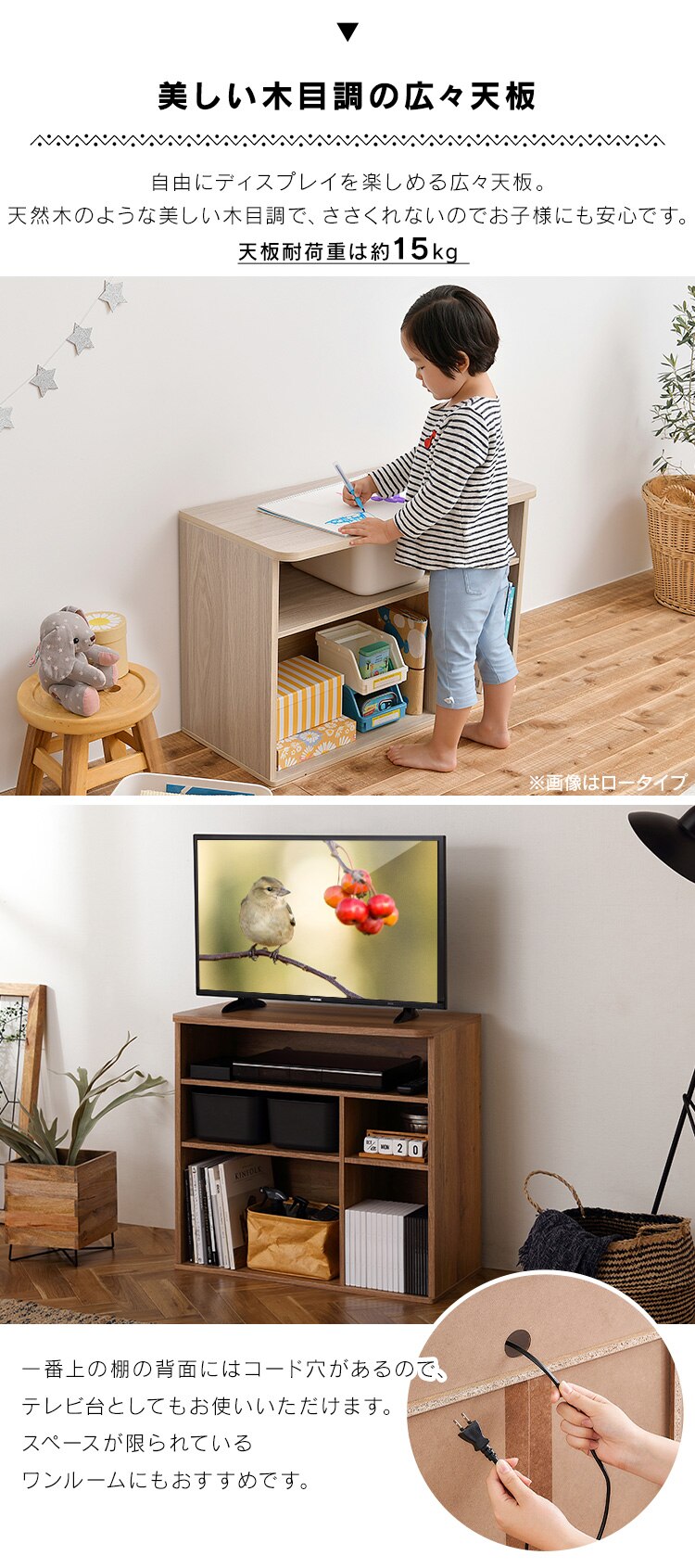 �������� ���[ �G�{�I �X�^���_�[�h�^�C�v RUS-74S ���C�g�i�`������/�G�C�W���O�I�[�N