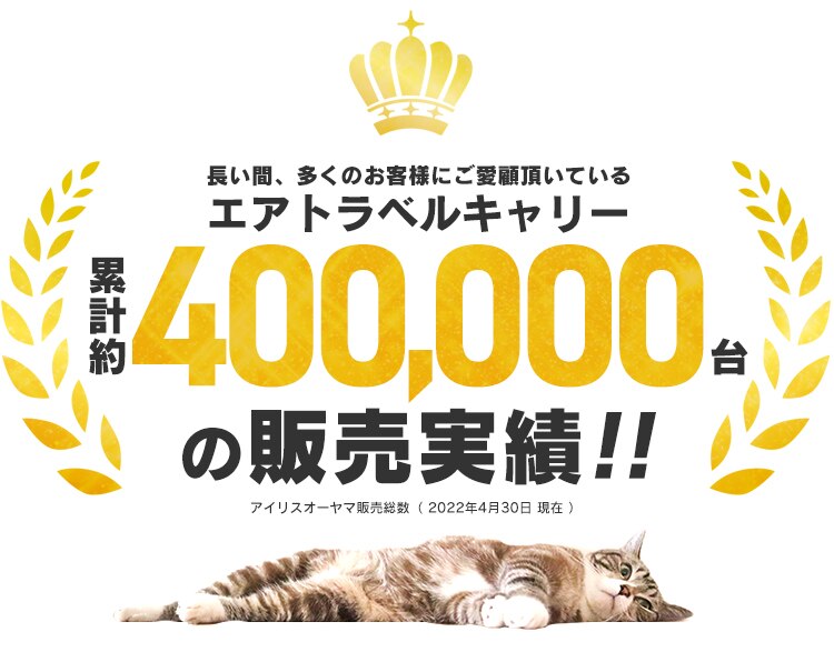 エアトラベルキャリー Lサイズ ATC-870 ブラウン0