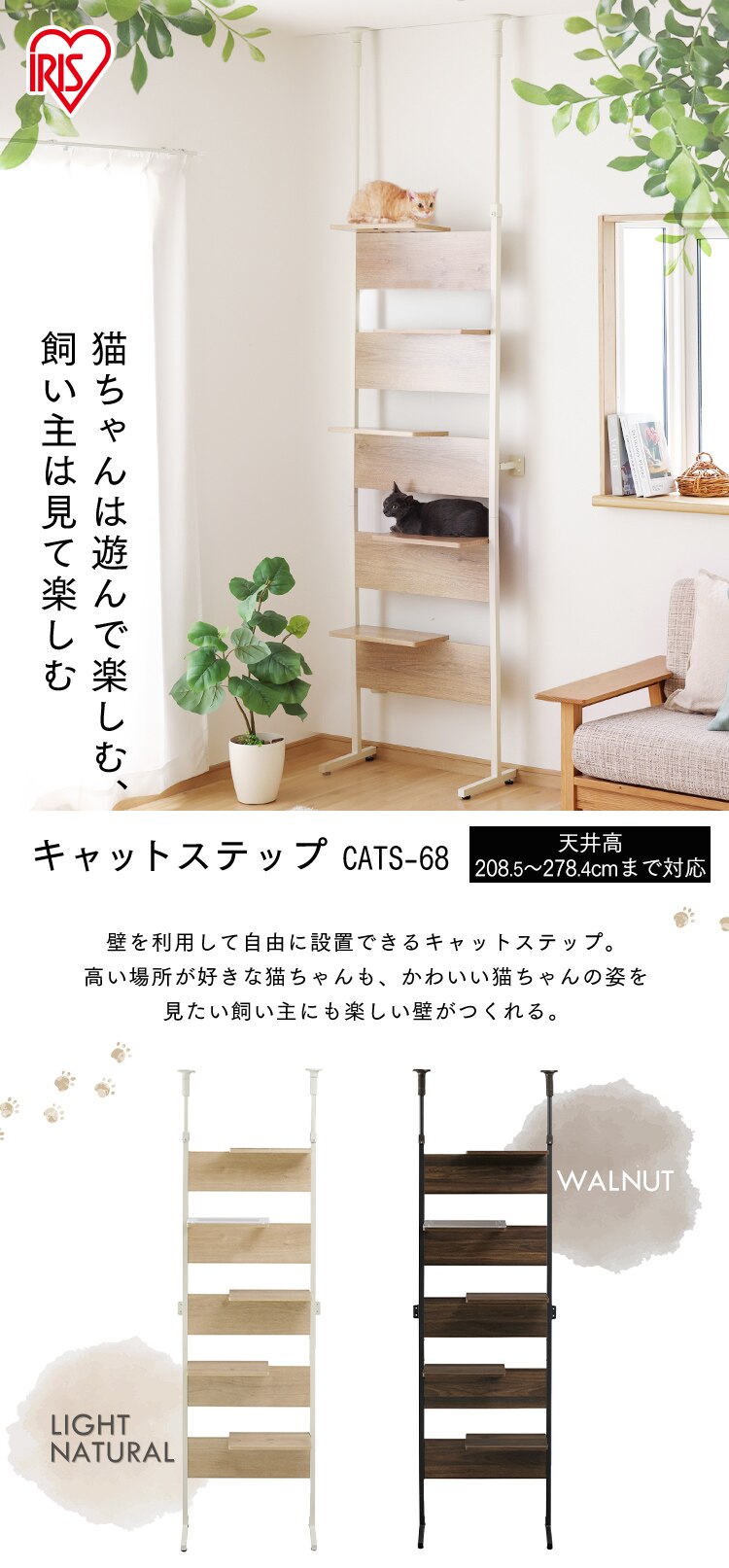キャットステップ CATS-68 ウォールナット0
