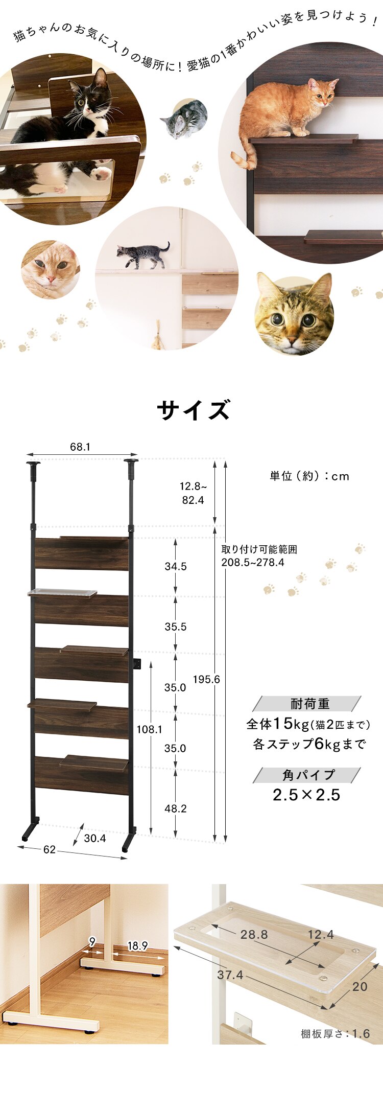 キャットステップ CATS-68 ウォールナット5