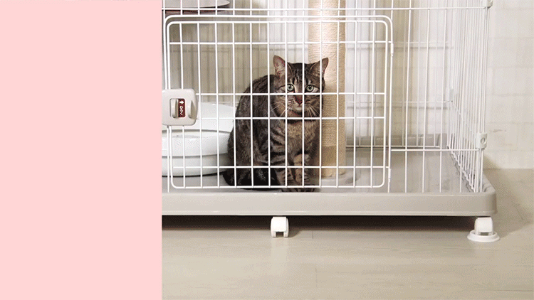 ＼タワー in ケージ／キャットランドケージ ワイド 5段 PCLC-903 ダークグレー キャスター付き 猫 ケージ7