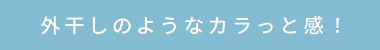 カラリエ ふとん乾燥機 シングルノズル くつ乾燥対応 FK-EC1-W ホワイト1
