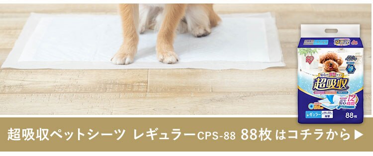 ウッディシステムサークル SWS-900 アッシュグレー3